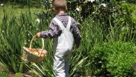 Śmigus dyngus czy Egg hunt Śmigus-dyngus czy Egg hunt Polskie dzieci najczęściej kojarzą Wielkanoc z malowaniem pisanek, kolorowym mazurkiem i lanym poniedziałkiem. Chociaż zabawa szukania słodkości w wiosennym ogrodzie nie jest aż tak popularna w...