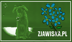 usa stany zjednoczone wiza kultura, utah polonia człowiek, bilety praca sztuka książka, oscary grammy kultura, człowiek, sztuka książka, poezaj sienkiewicz, quo wadis ekranizacja wiikpedi