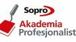 Akademia Profesjonalisty: ruszają szkolenia dla glazurników