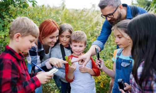 „Kubusiowi Przyjaciele Natury” – zapisy do XIV edycji największego ogólnopolskiego programu edukacyjnego na temat ekologii